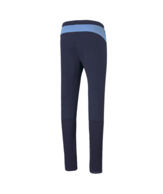 evostripe women's pants